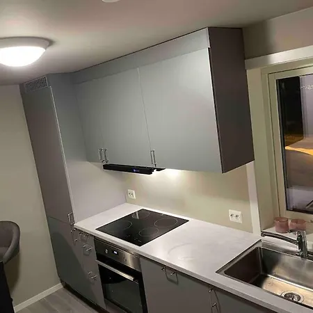 Moderne Leilighet I Apartment *